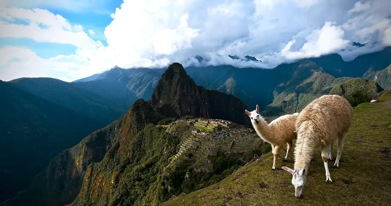 The Incredible Animals of Peru You Could See on Your Trip!