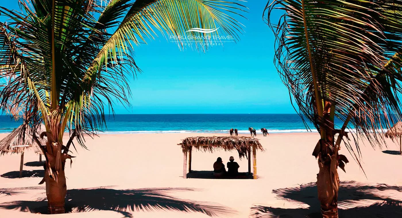 12 Breathtaking Beaches of Peru: A Luxury Guide for an Exclusive 2026 Experience