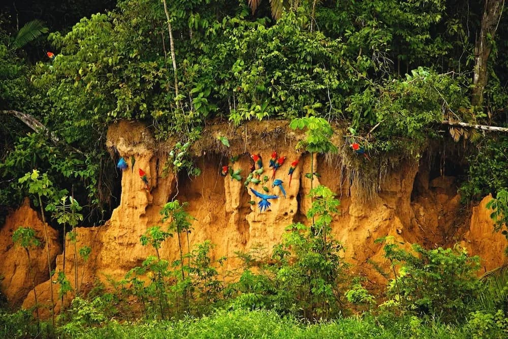 Climate in Peru: Discover the Best Time to Travel