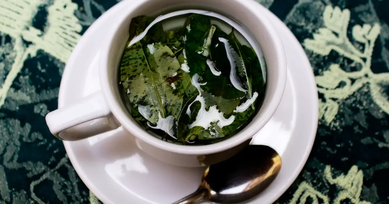 Coca Tea: The Andean Tradition Every Traveler to Peru Should Know