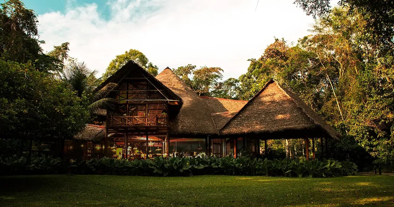 Explore the Best Hotels in Tambopata and Their Activities