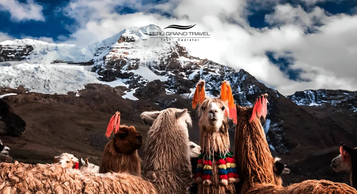 Is There Snow in Peru? Does It Snow at Machu Picchu? All You Need to Know For Snow in the Andes in 2027