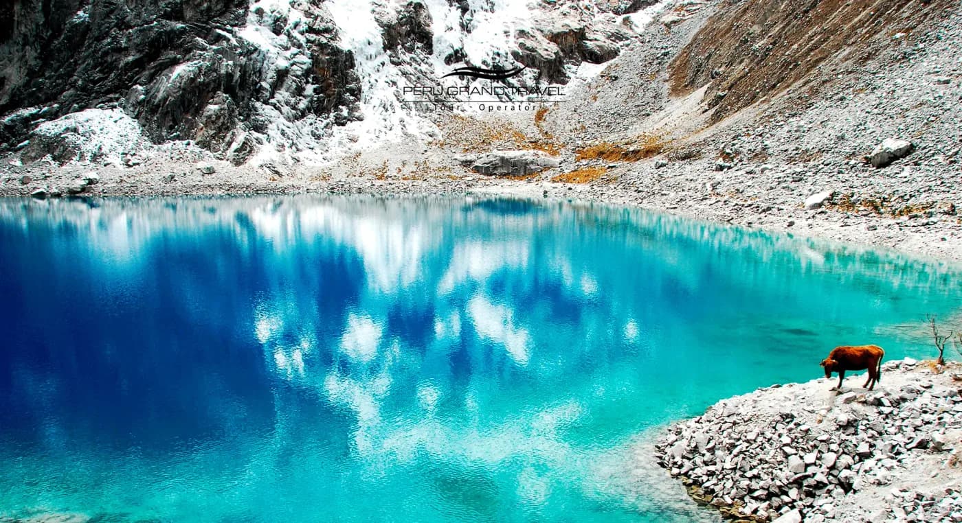 7 Secrets of Trekking Laguna 69: The Turquoise Refuge of the Peruvian Andes