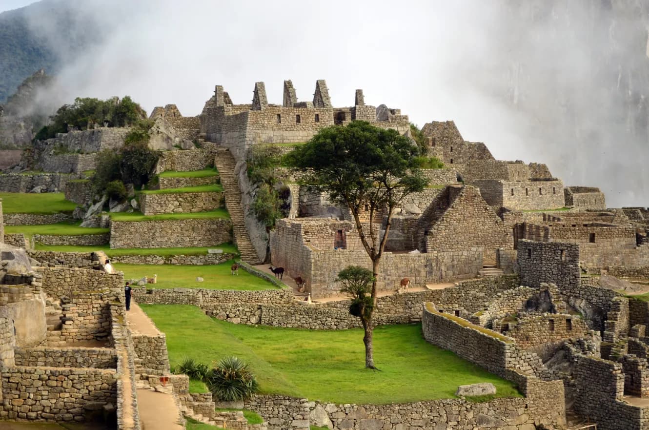Machu Picchu and the Conservation of World Heritage