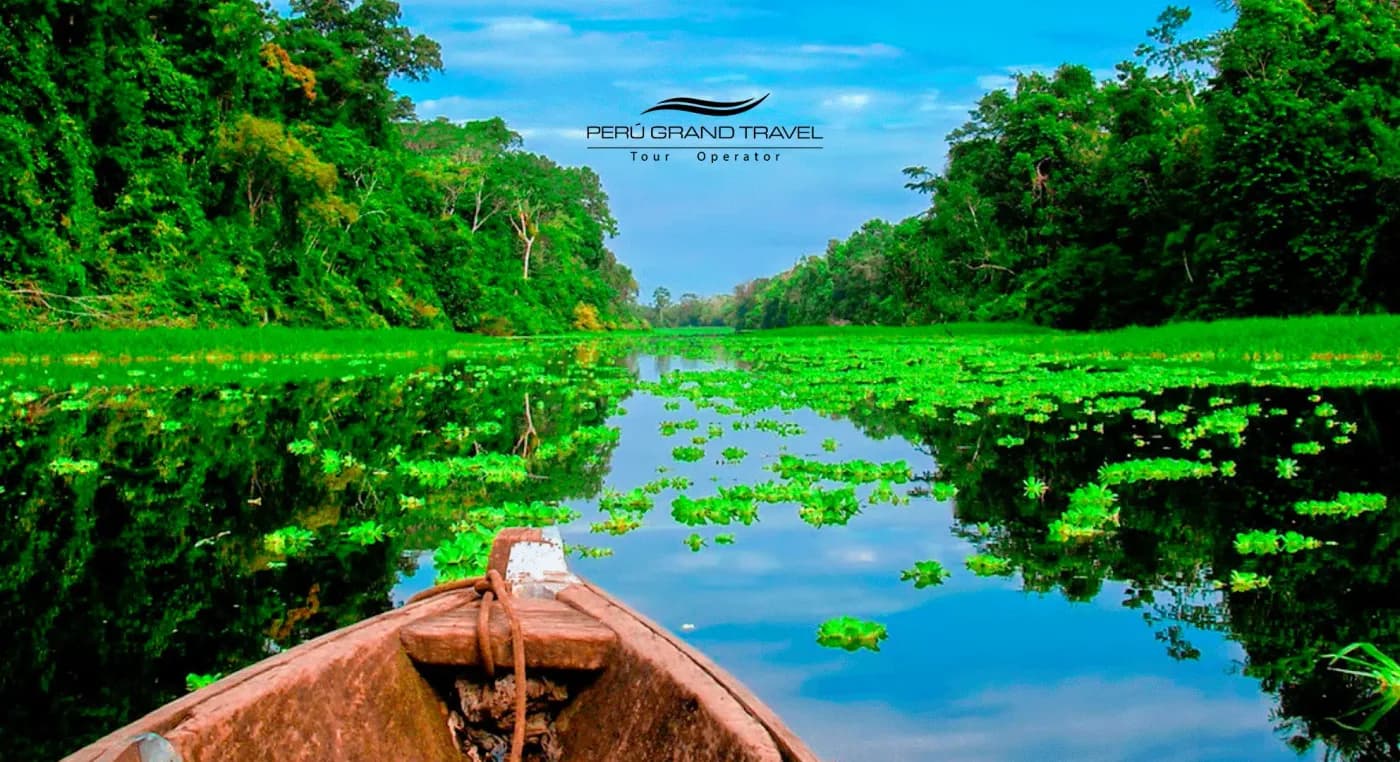 Why Visit The Peruvian Amazon?