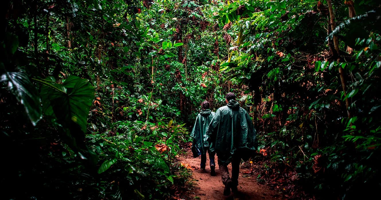 Peruvian Jungle Packing Guide: Complete Practical Checklist