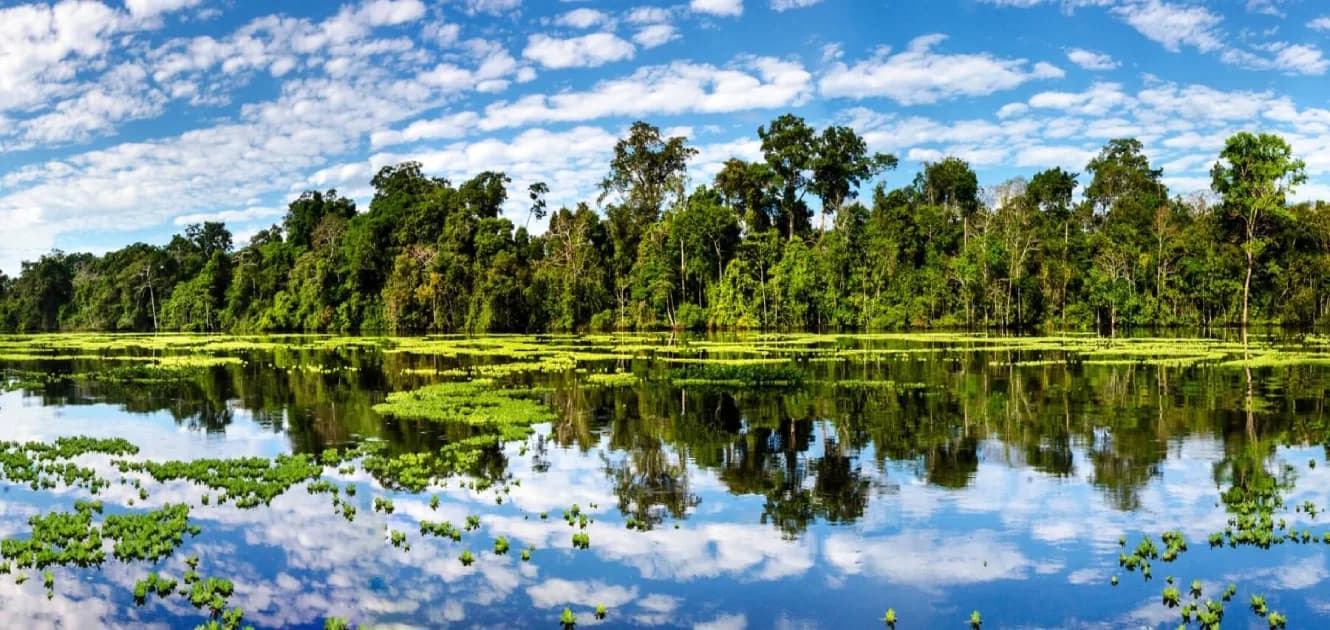 Recommendations for Traveling to the Peruvian Jungle of Puerto Maldonado