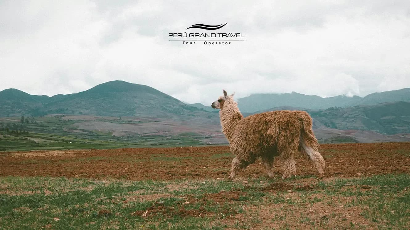 The Best Day Hikes from Cusco