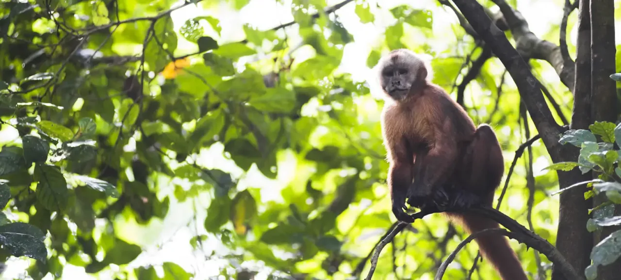 Peru explore the culture with Amazon rainforest 9D/8N 2