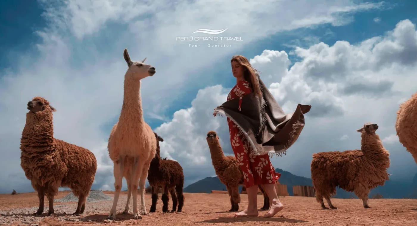 10 Secrets of Alpaca Clothes Peru: The Ultimate Luxury Tribute to Andean Gold