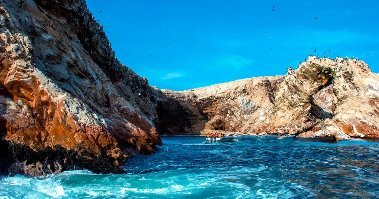 Ballestas Islands Peru: Your Next Adventure at Sea