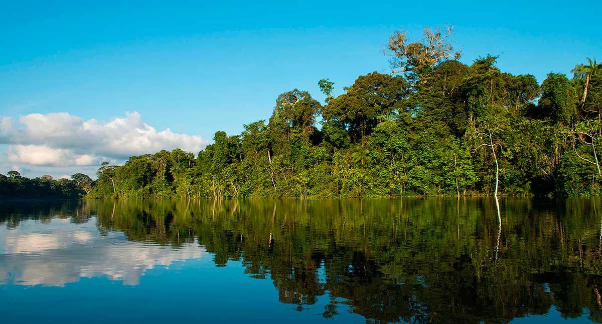 Best Time to Travel to Puerto Maldonado