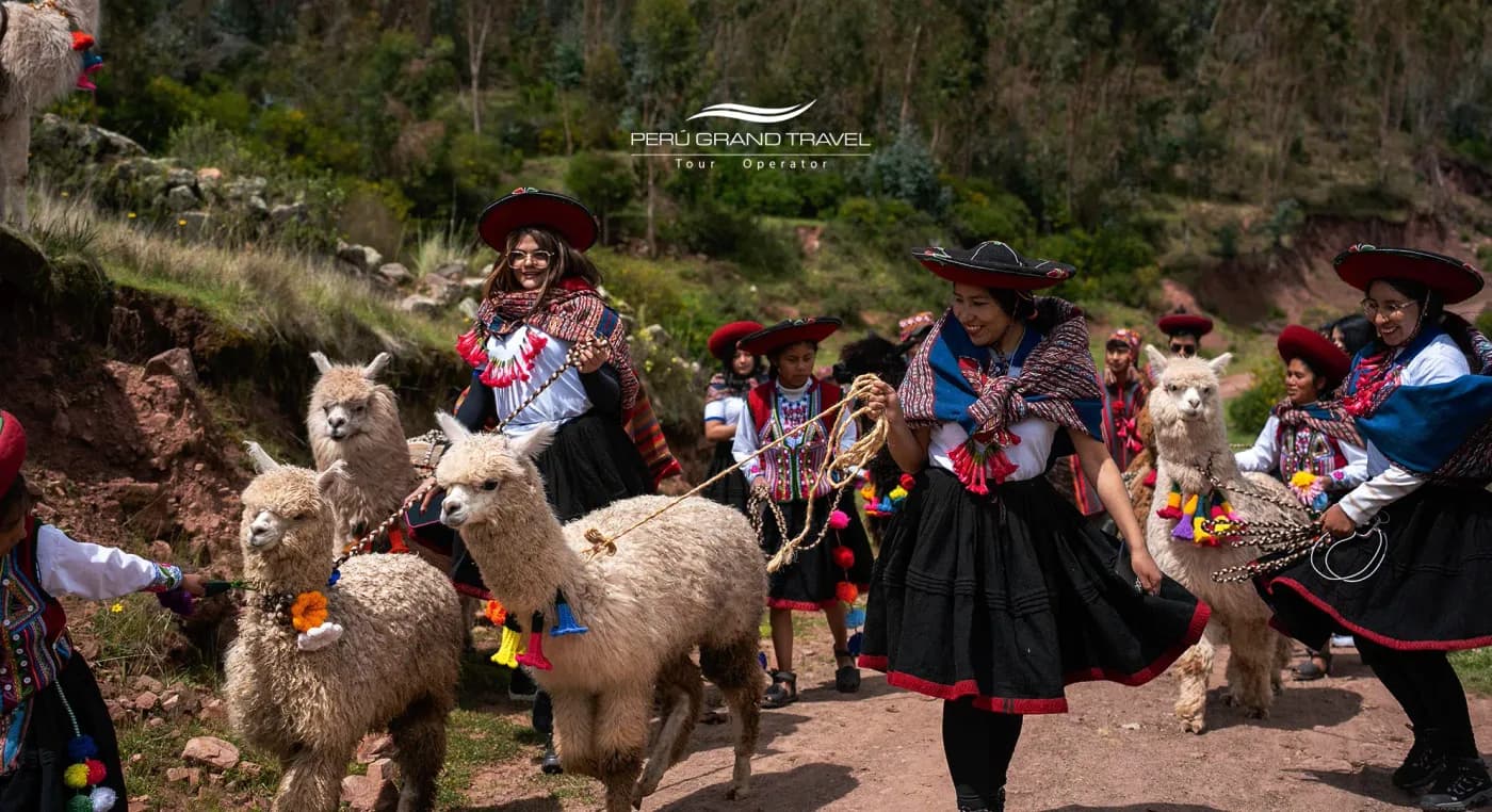 7 Powerful Benefits of Llama Therapy: The Mystical Healing You Can Only Find in the Andes