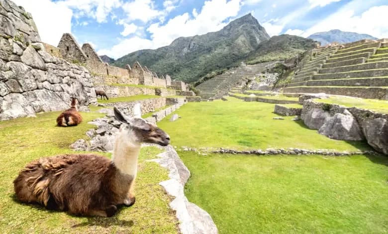 New Circuits to Machu Picchu: Starting June 1, 2024, 5600 visitors per day will be welcomed