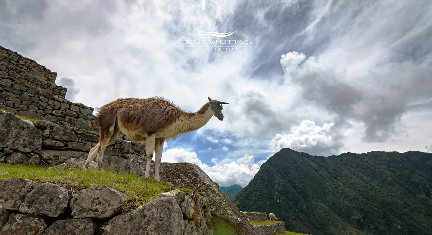 Peru in May 2026: 7 Secrets of the Andes’ Golden Month