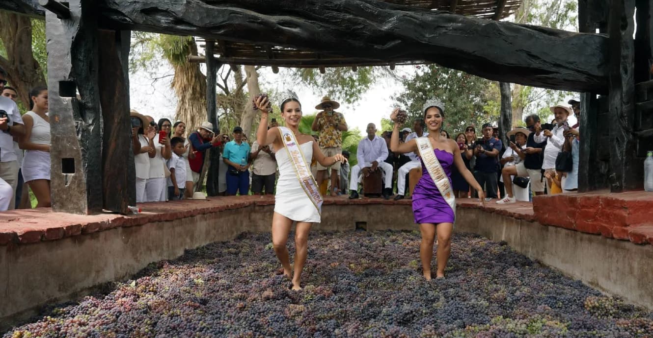 Discover Peruvian Pisco from Ica: The Spirit of an Ancestral Tradition