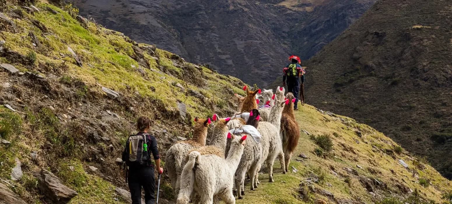 Lares Valley Trek to Machu Picchu